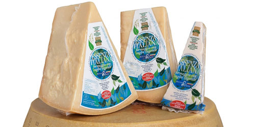 ESSENZA ITALIANA formaggio con caglio vegetale