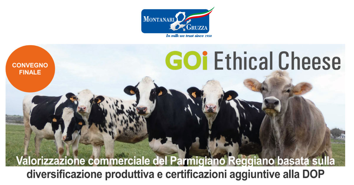 WEBINAR Goi Ethical Cheese